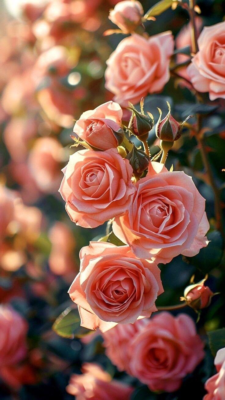 Flower care and styling tips